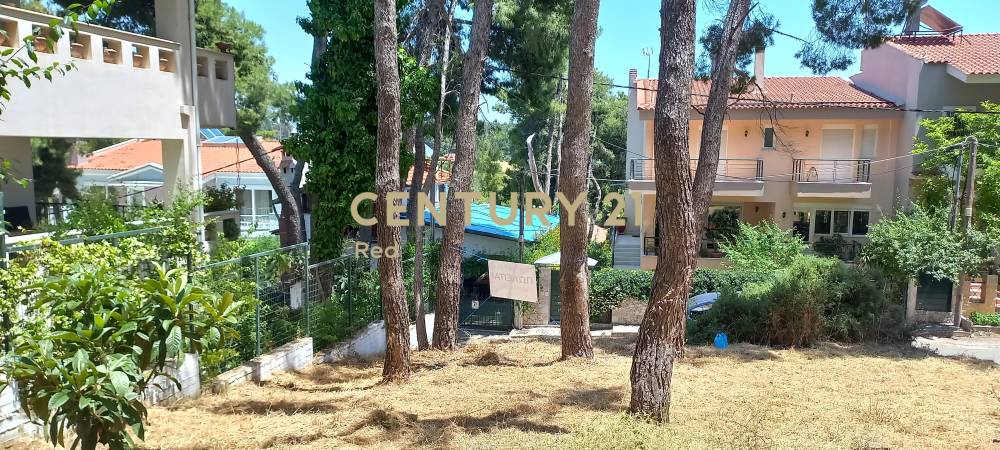 Οικόπεδο στην περιοχή Άγιος Στέφανος — φωτογραφία 2