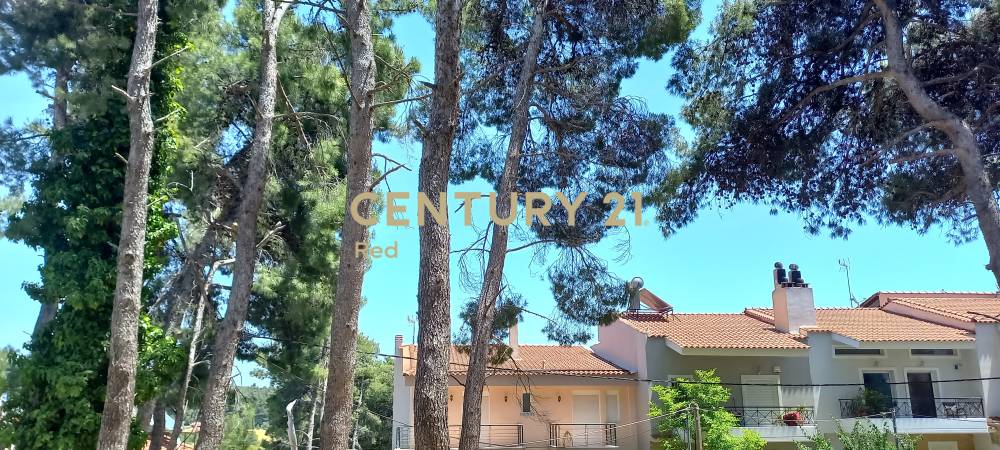 Οικόπεδο στην περιοχή Άγιος Στέφανος — φωτογραφία 5