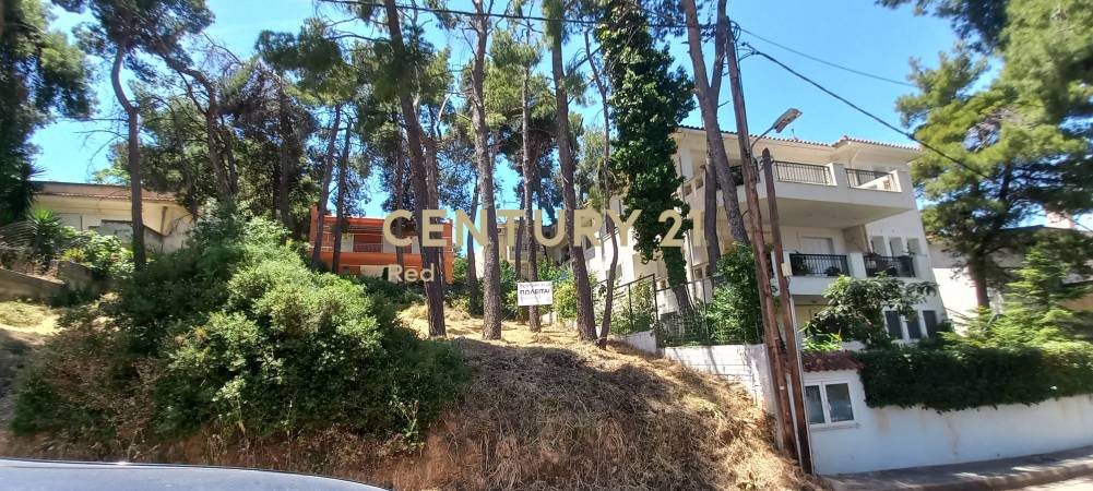 Οικόπεδο 418 τ.μ. προς πώληση στην περιοχή Άγιος Στέφανος — φωτογραφία 14