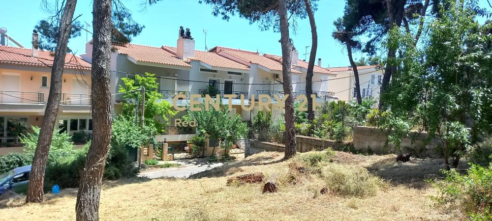 Οικόπεδο στην περιοχή Άγιος Στέφανος — φωτογραφία 4