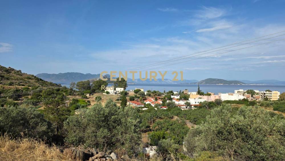 Οικόπεδο — Αίγινα