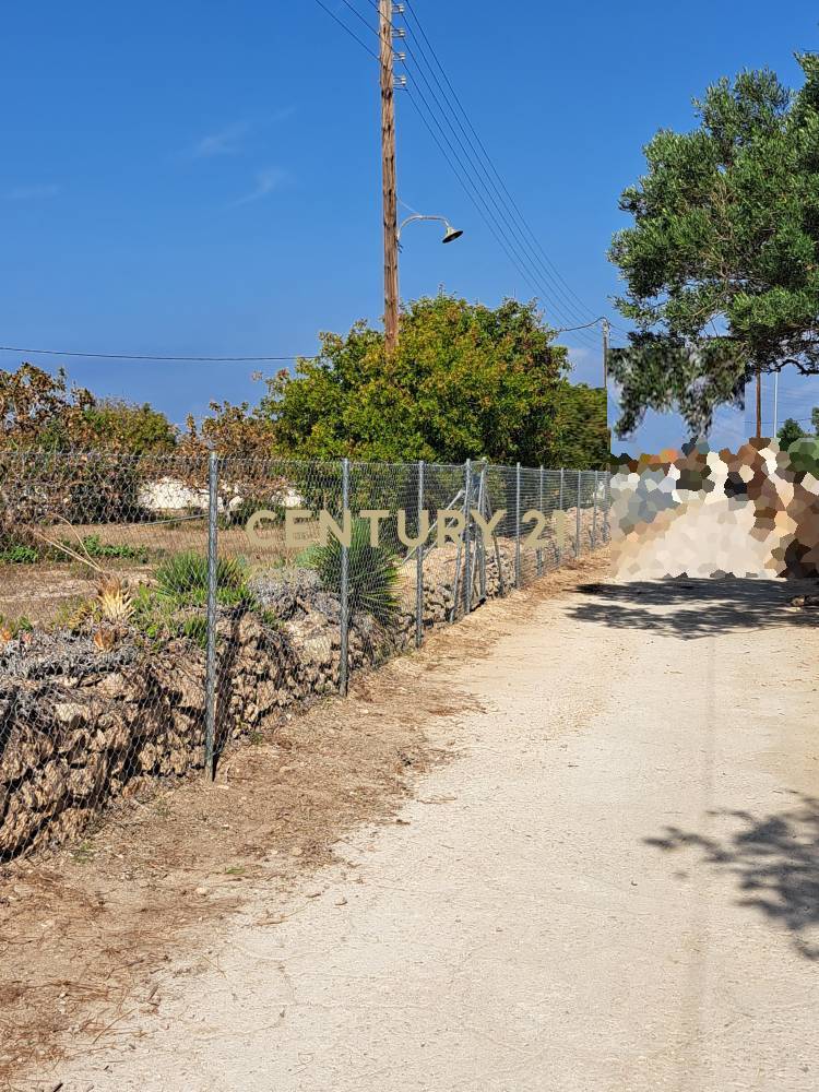 Οικόπεδο — Αίγινα