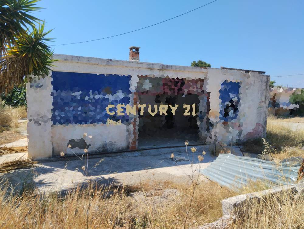 Οικόπεδο στην περιοχή Μέγαρα — φωτογραφία 5