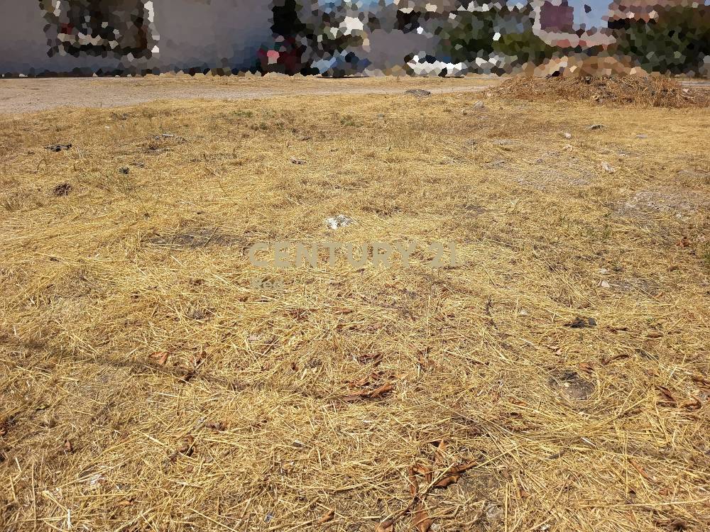 Οικόπεδο — Αχαρνές