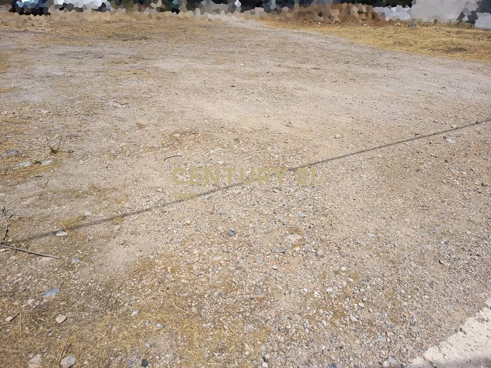 Οικόπεδο — Αχαρνές