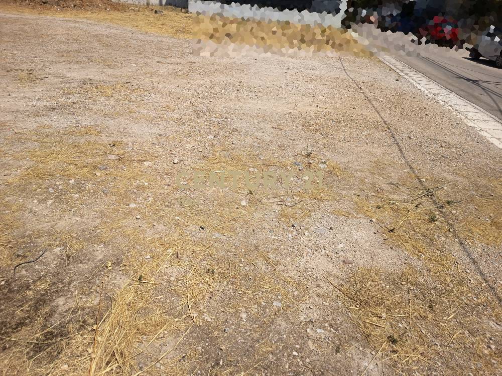 Οικόπεδο 831 τ.μ. προς πώληση στην περιοχή Αχαρνές — φωτογραφία 6