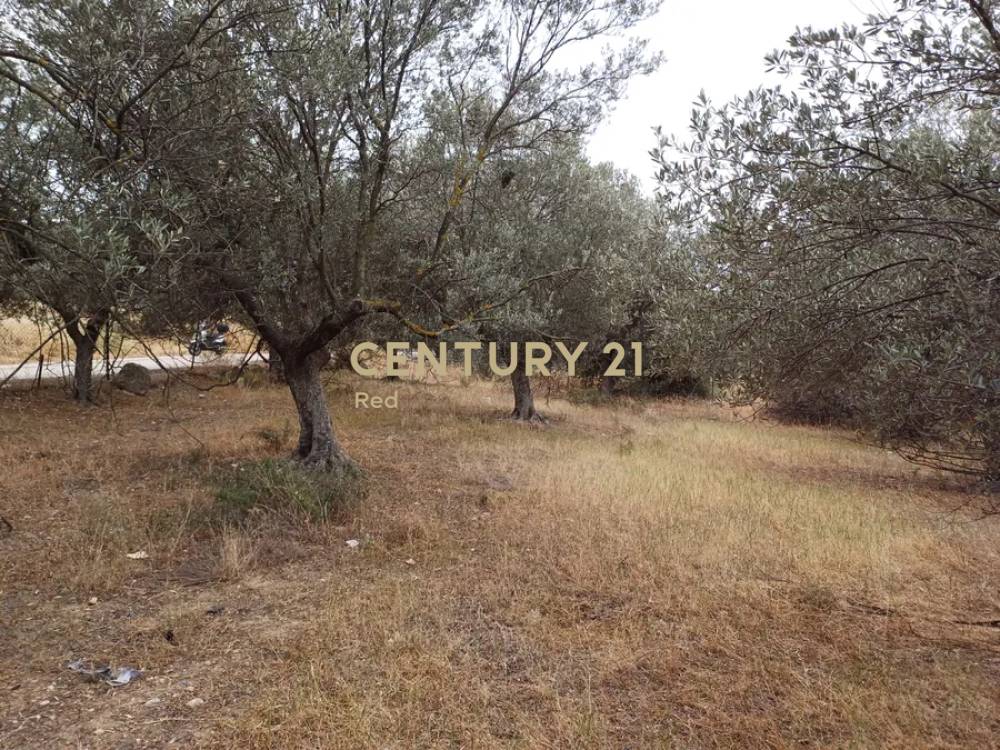 Οικόπεδο — Κόρινθος