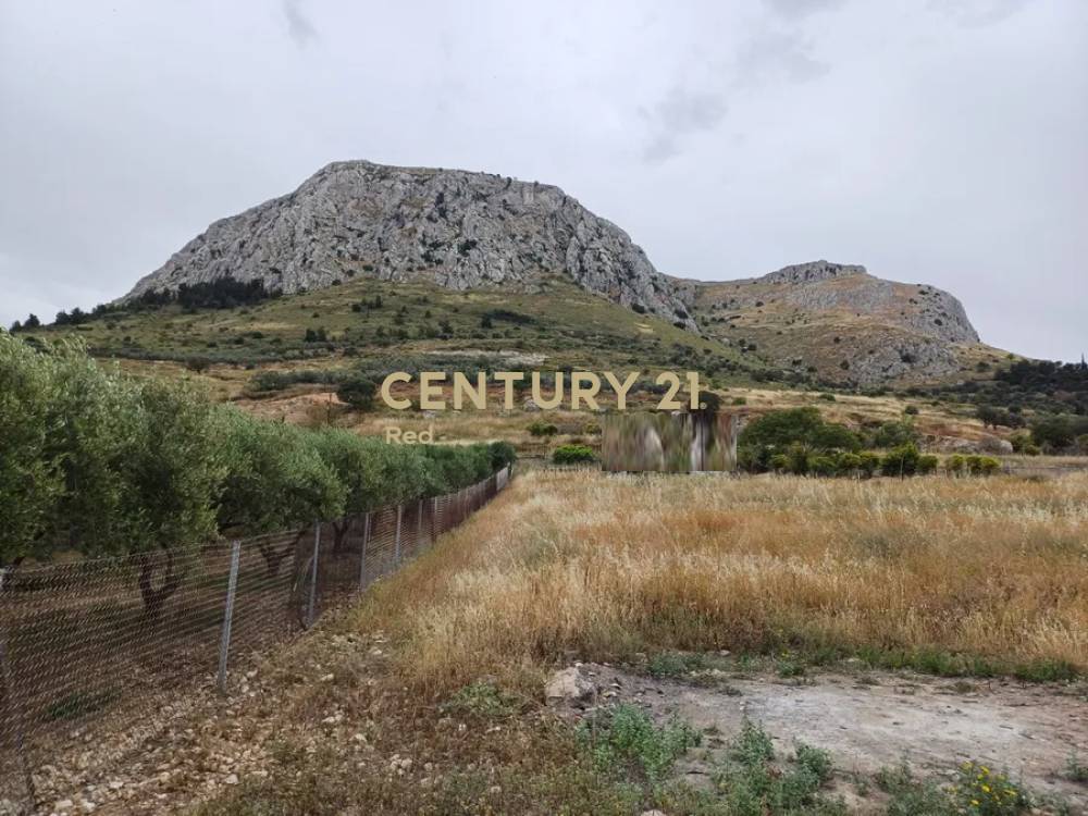Οικόπεδο — Κόρινθος