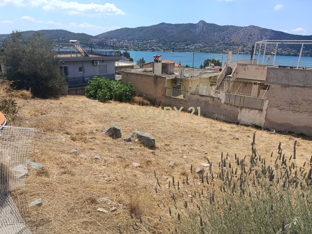 Οικόπεδο — Σαλαμίνα