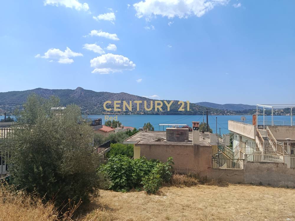 Οικόπεδο στην περιοχή Σαλαμίνα — φωτογραφία 4