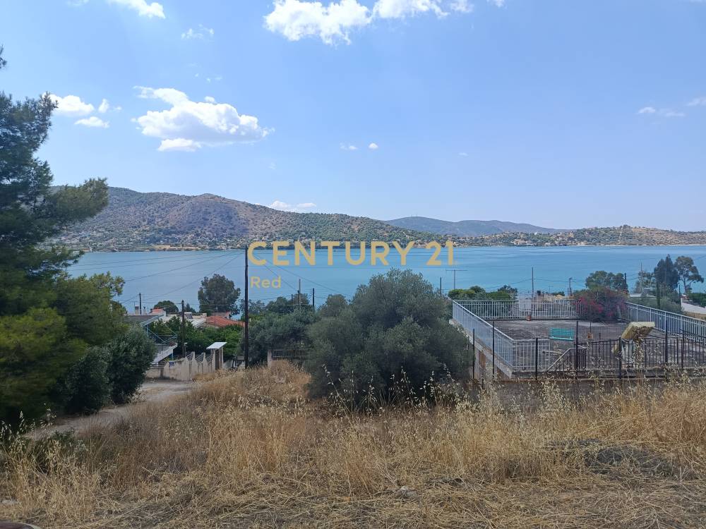 Οικόπεδο στην περιοχή Σαλαμίνα — φωτογραφία 5