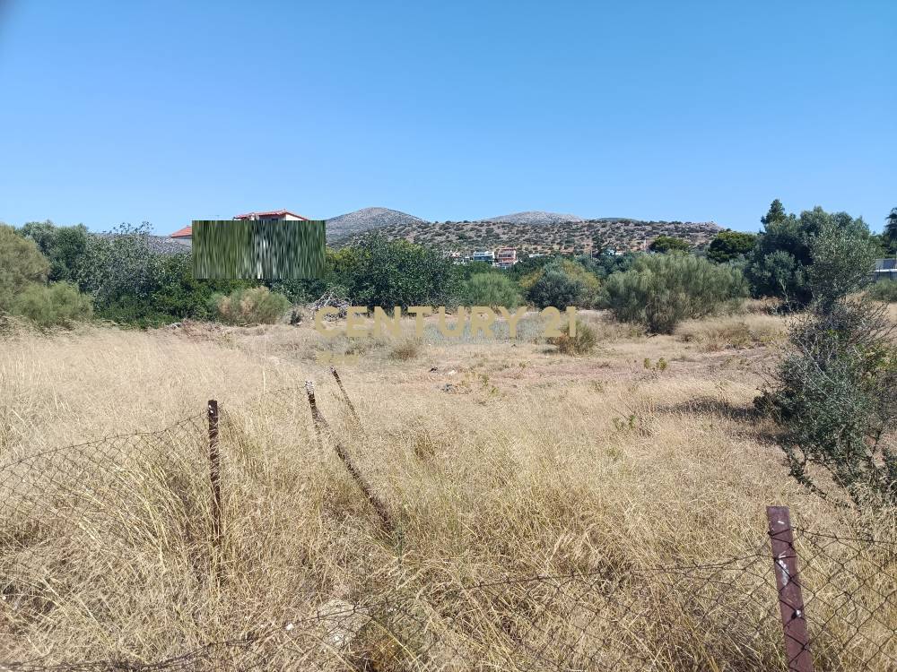Αγροτεμάχιο — Κορωπί