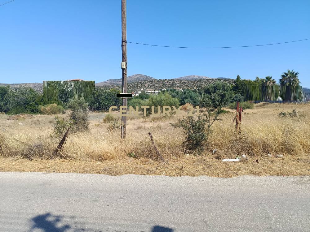 Αγροτεμάχιο — Κορωπί