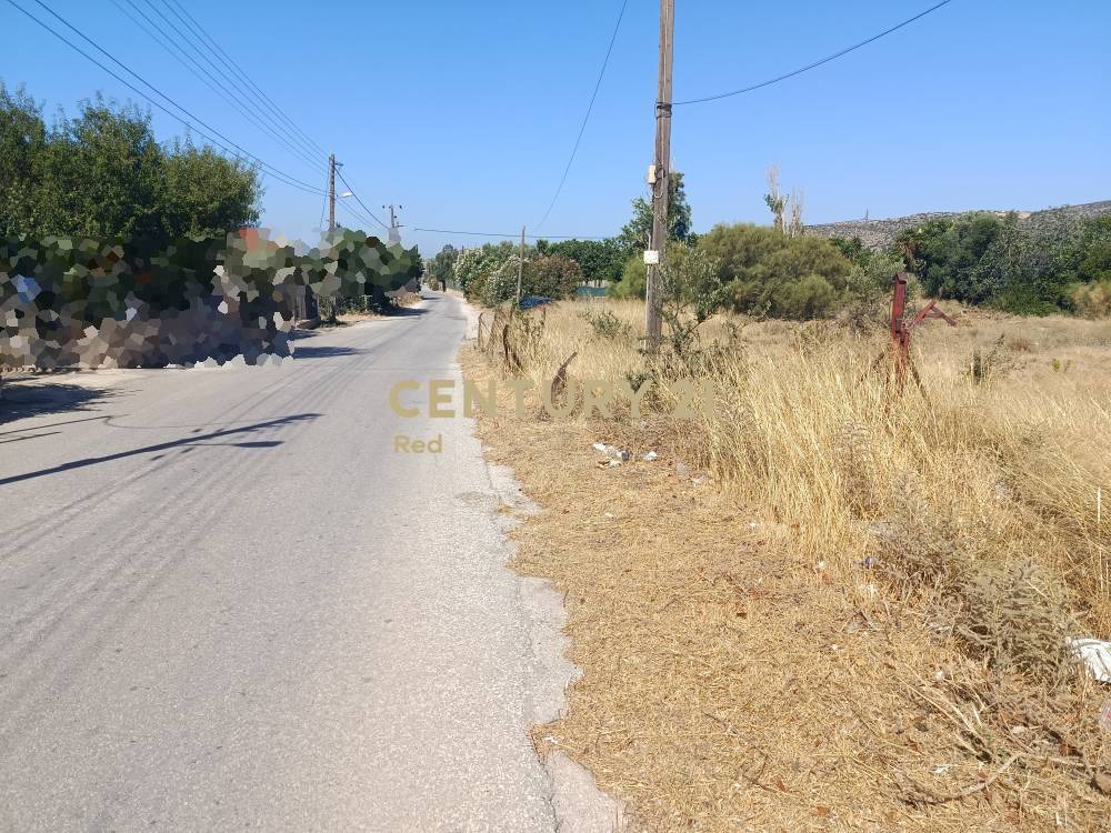 Αγροτεμάχιο — Κορωπί