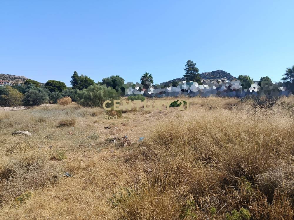 Αγροτεμάχιο στην περιοχή Κορωπί — φωτογραφία 5