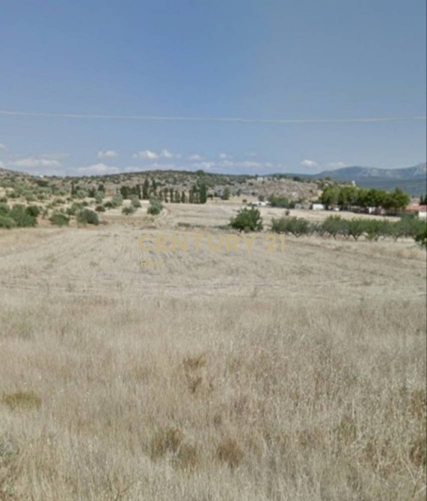 Οικόπεδο — Θίσβη