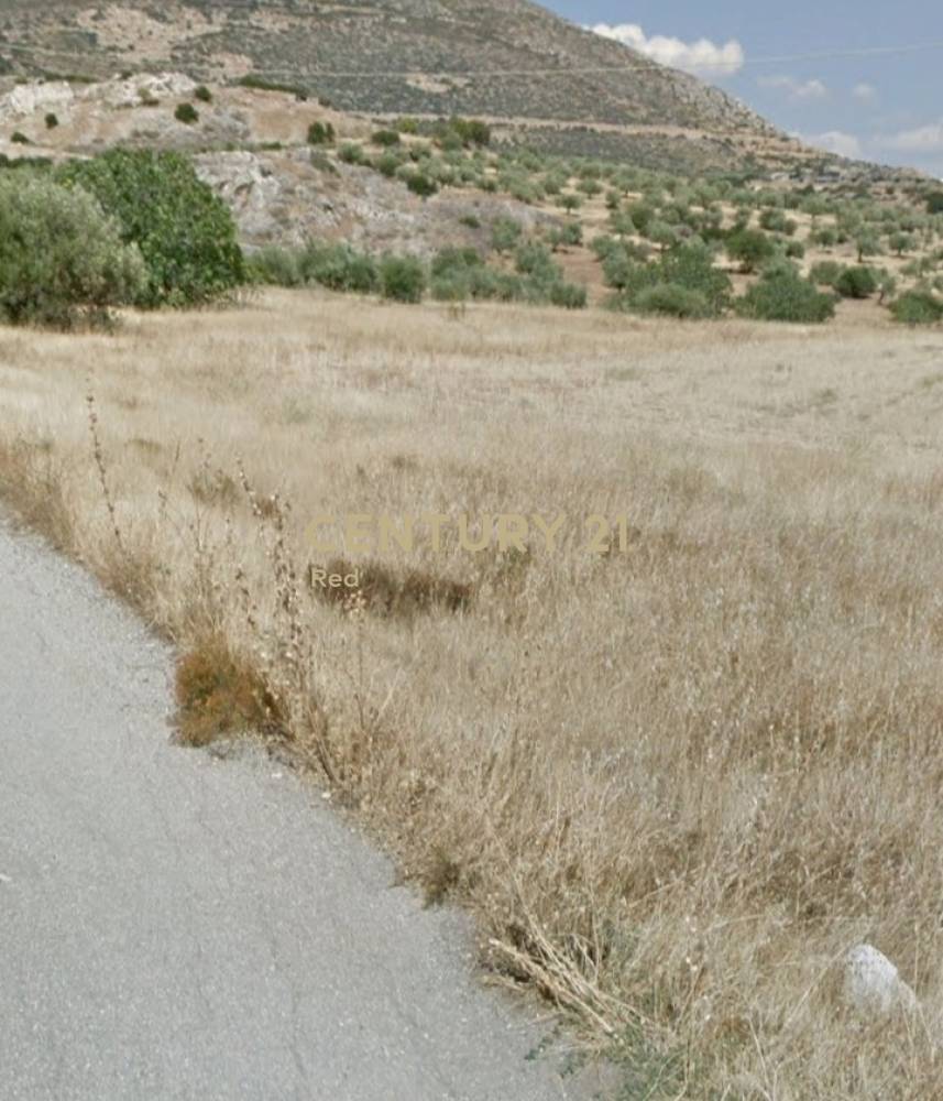 Οικόπεδο — Θίσβη