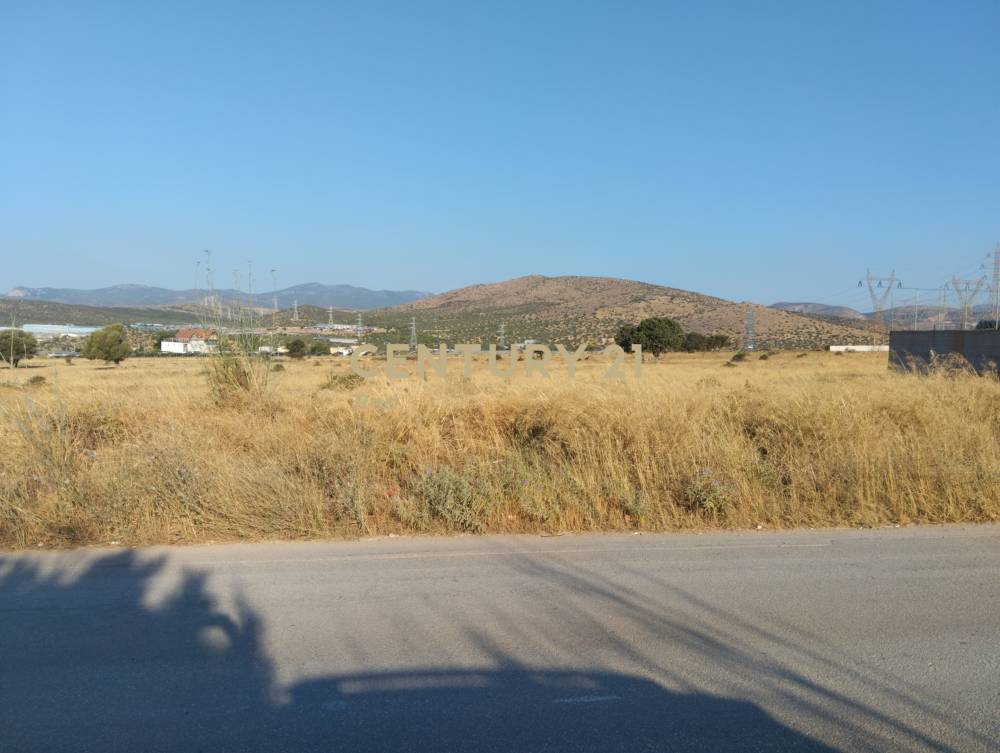 Οικόπεδο στην περιοχή Ασπρόπυργος — φωτογραφία 3