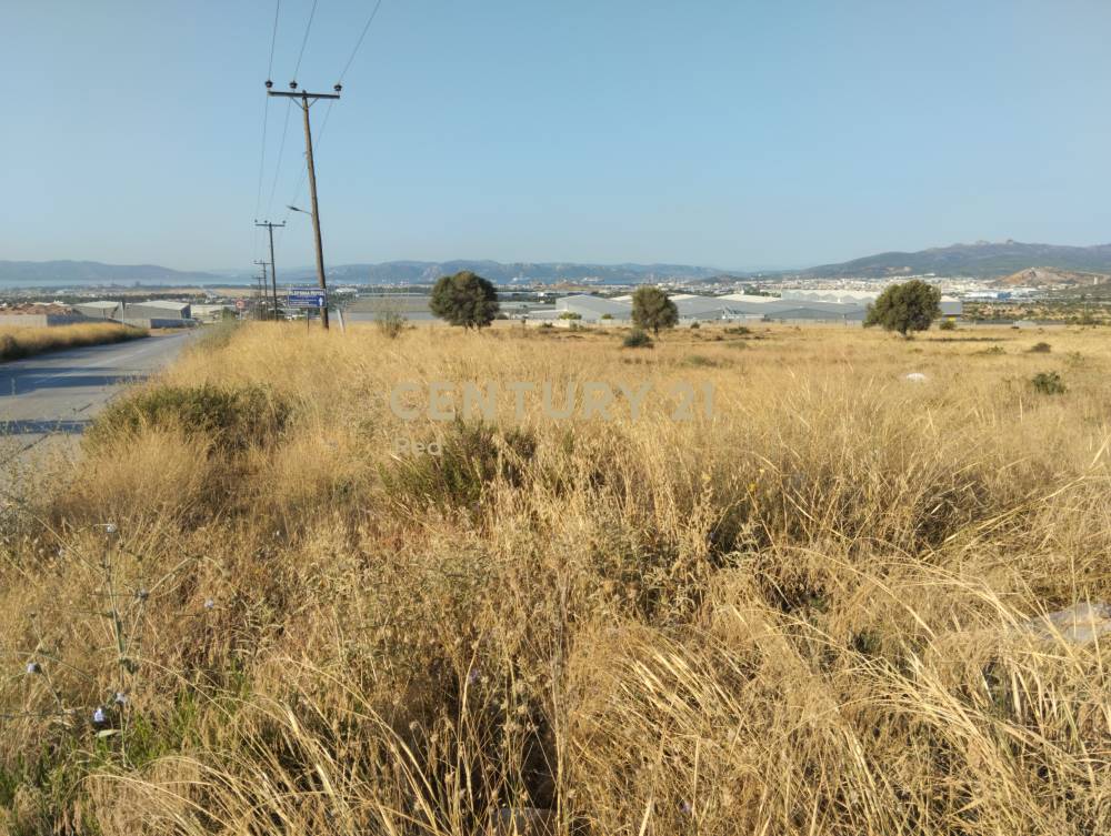 Οικόπεδο στην περιοχή Ασπρόπυργος — φωτογραφία 5