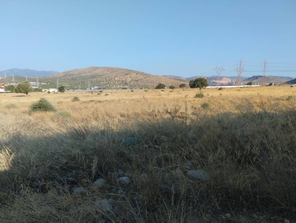 Οικόπεδο 55.600 τ.μ. προς πώληση στην περιοχή Ασπρόπυργος — φωτογραφία 6