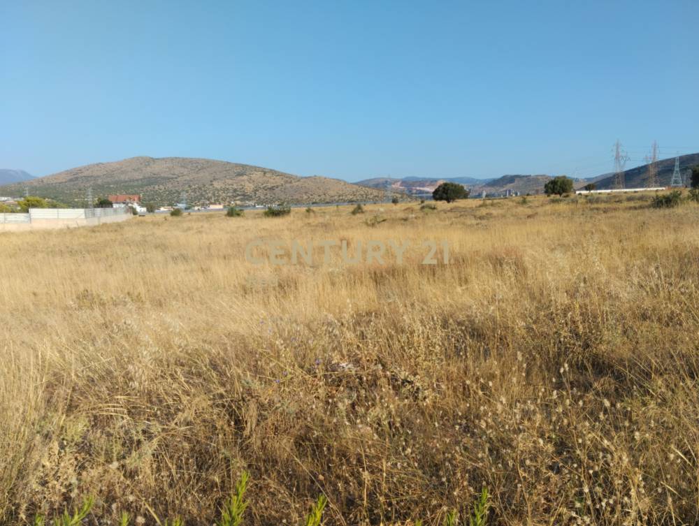 Οικόπεδο 55.600 τ.μ. προς πώληση στην περιοχή Ασπρόπυργος — φωτογραφία 8