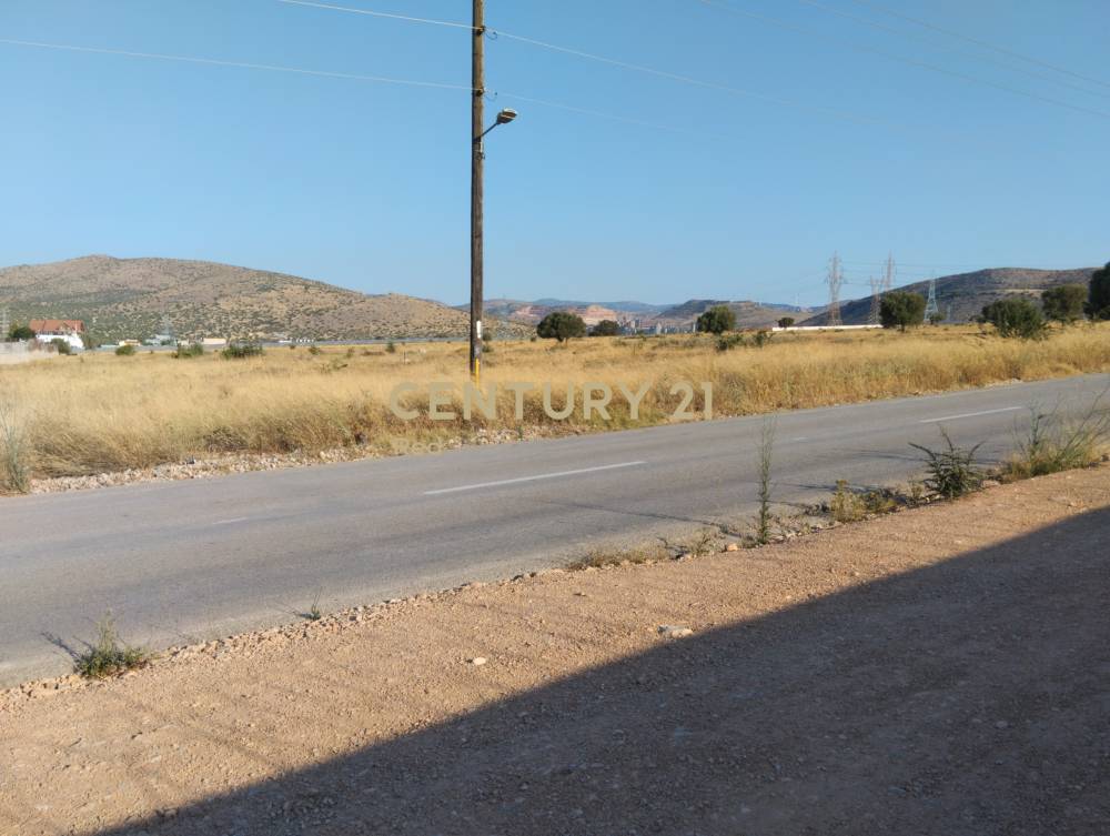 Οικόπεδο 55.600 τ.μ. προς πώληση στην περιοχή Ασπρόπυργος — φωτογραφία 9