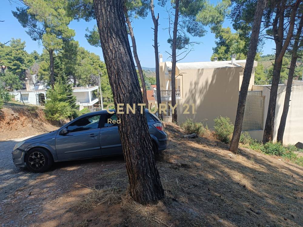 Οικόπεδο — Άγιος Στέφανος