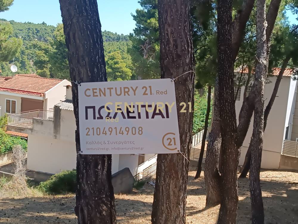 Οικόπεδο 480 τ.μ. προς πώληση στην περιοχή Άγιος Στέφανος — φωτογραφία 7