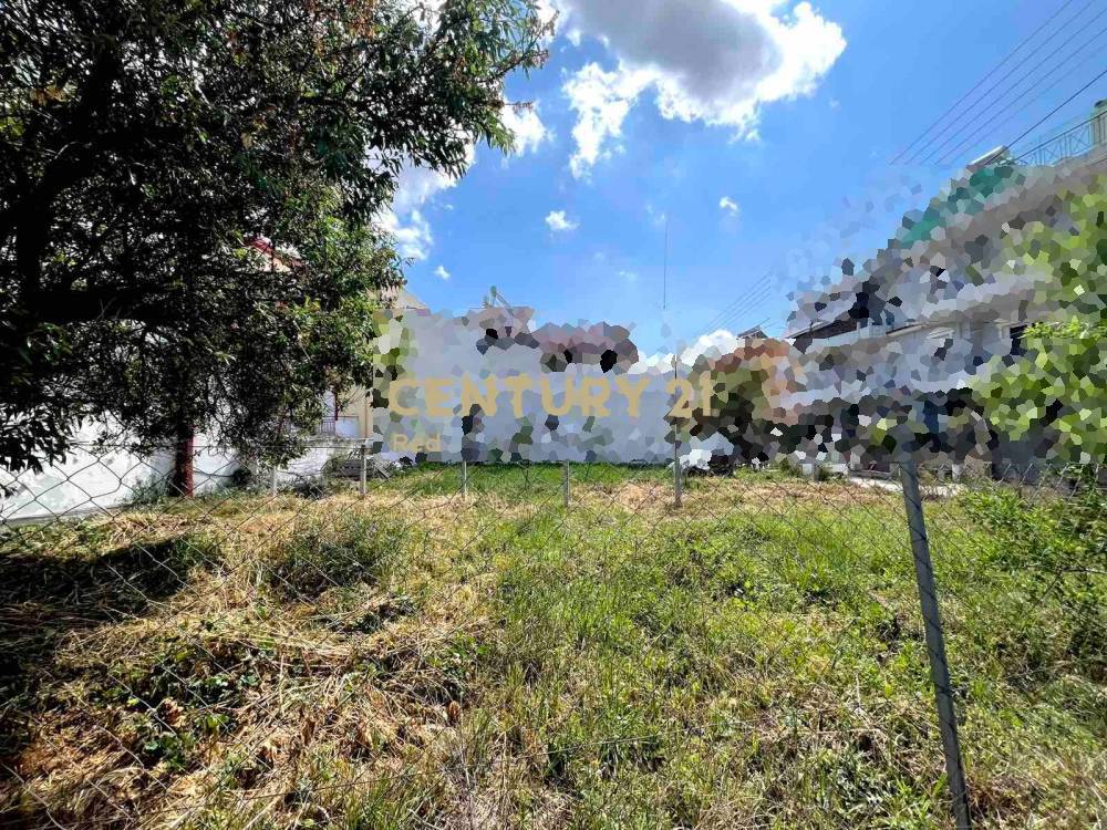 Οικόπεδο — Καματερό