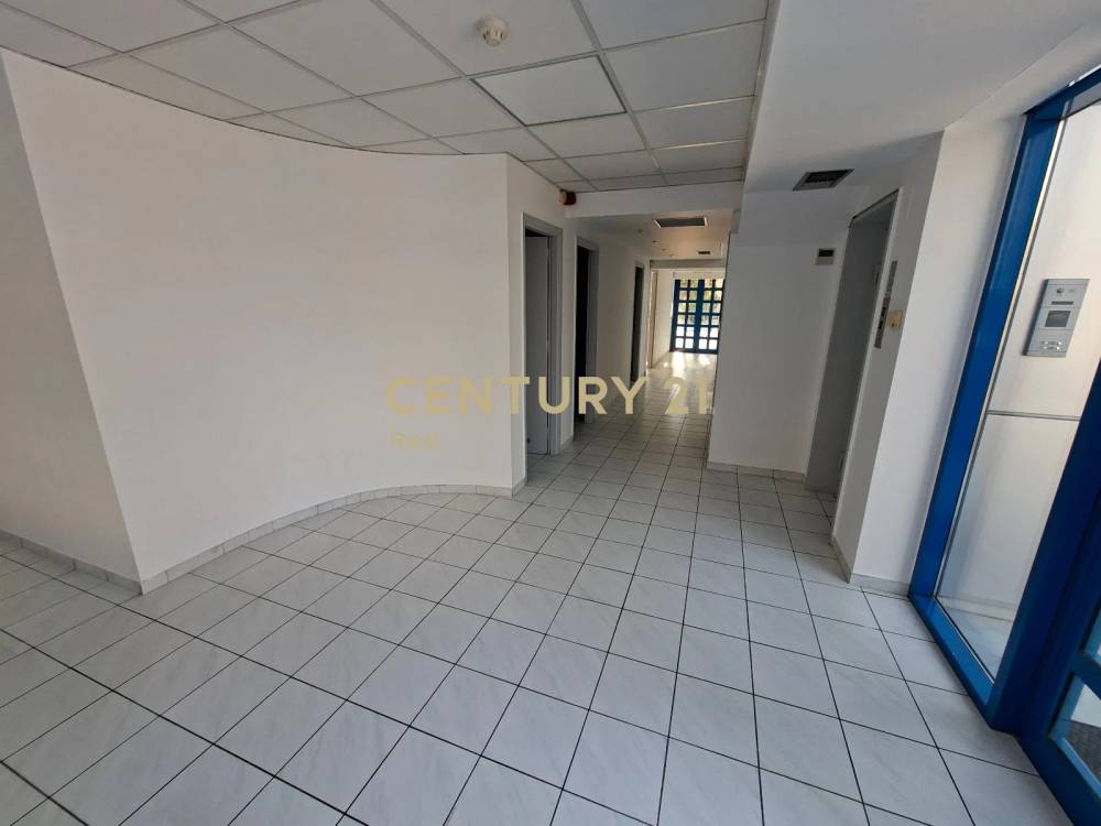 Επαγγελματικό κτίριο 540 τ.μ. προς ενοικίαση στην περιοχή Άλιμος — φωτογραφία 11