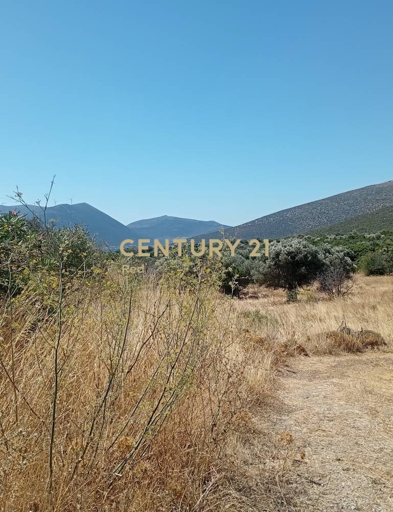 Οικόπεδο — Δύστος