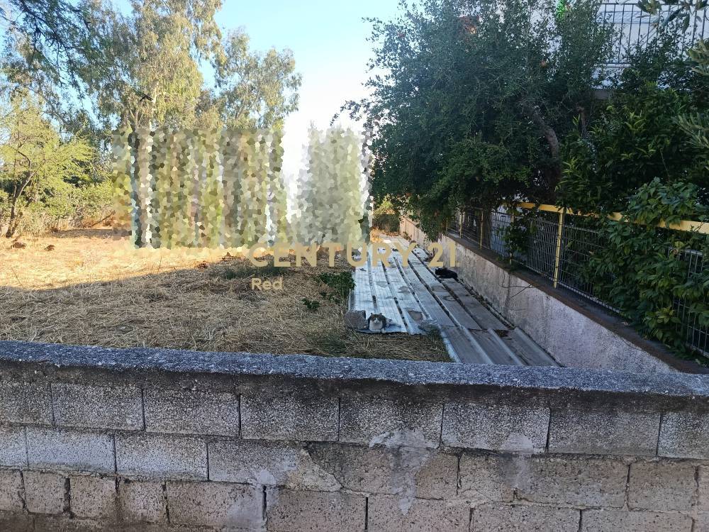 Οικόπεδο — Χαλάνδρι