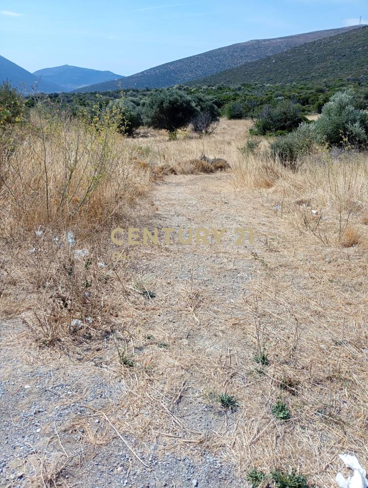 Οικόπεδο — Δύστος