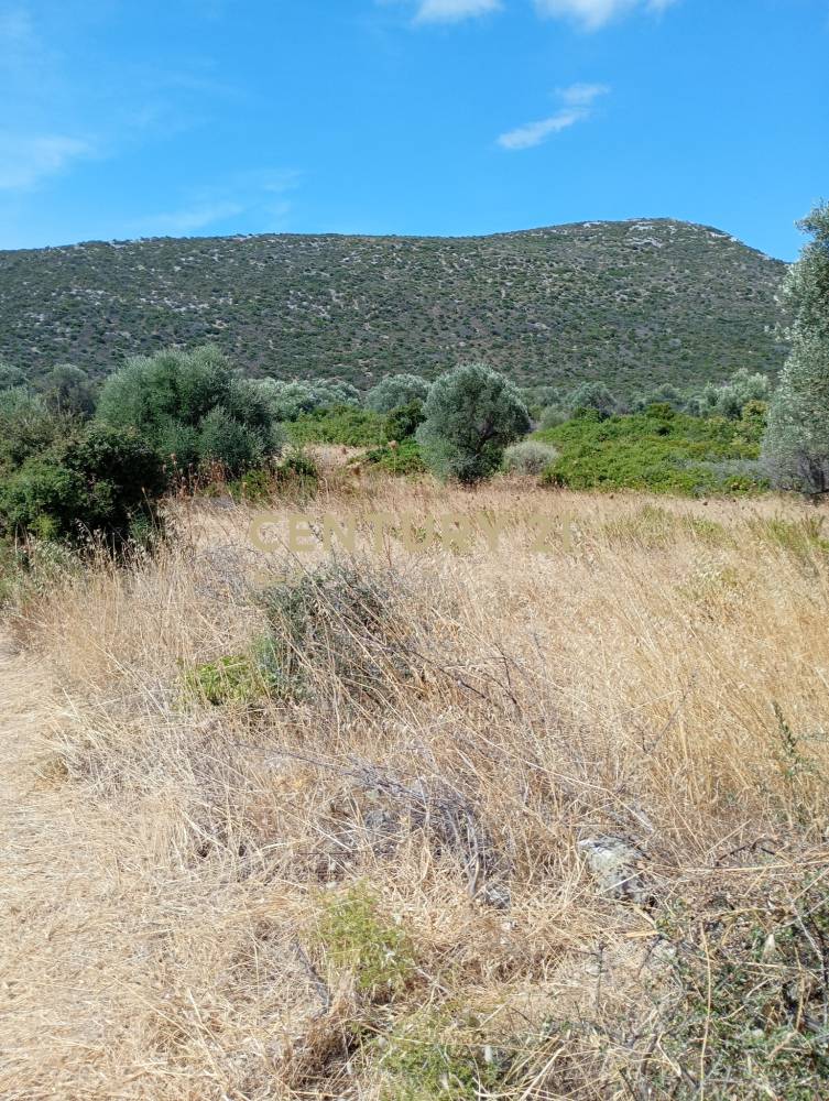 Οικόπεδο — Δύστος