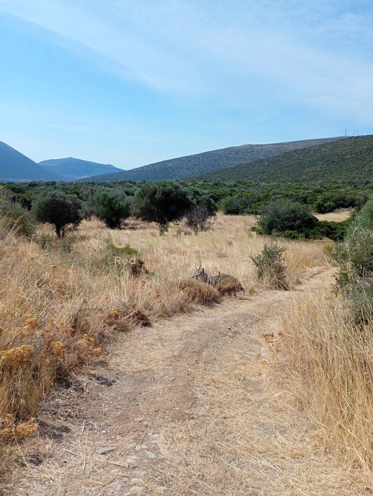 Οικόπεδο — Δύστος
