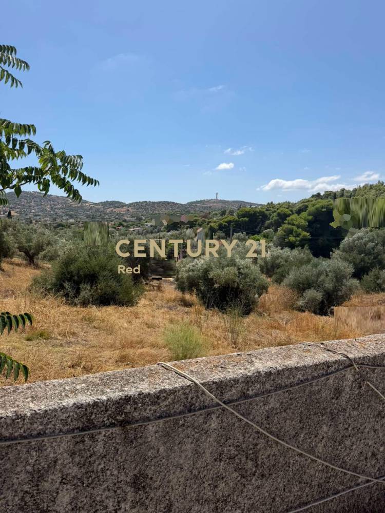 Μονοκατοικία 120 τ.μ. προς πώληση στην περιοχή Αρτέμιδα (Λούτσα, 0) — φωτογραφία 17