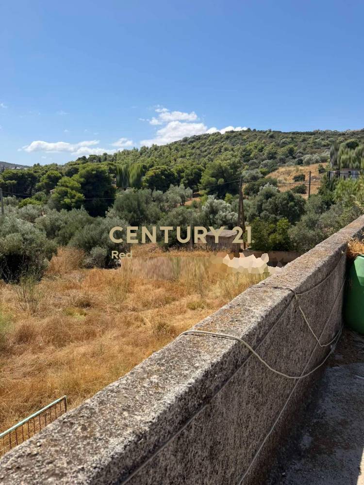 Μονοκατοικία 120 τ.μ. προς πώληση στην περιοχή Αρτέμιδα (Λούτσα, 0) — φωτογραφία 18