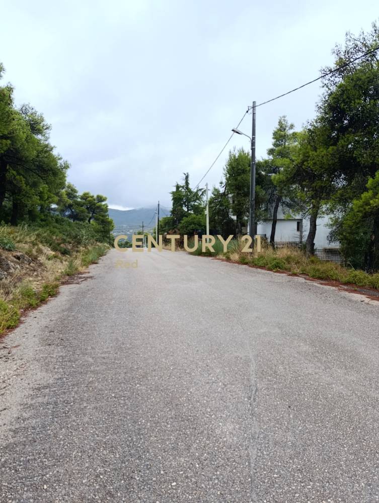 Οικόπεδο στην περιοχή Αφίδνες — φωτογραφία 5